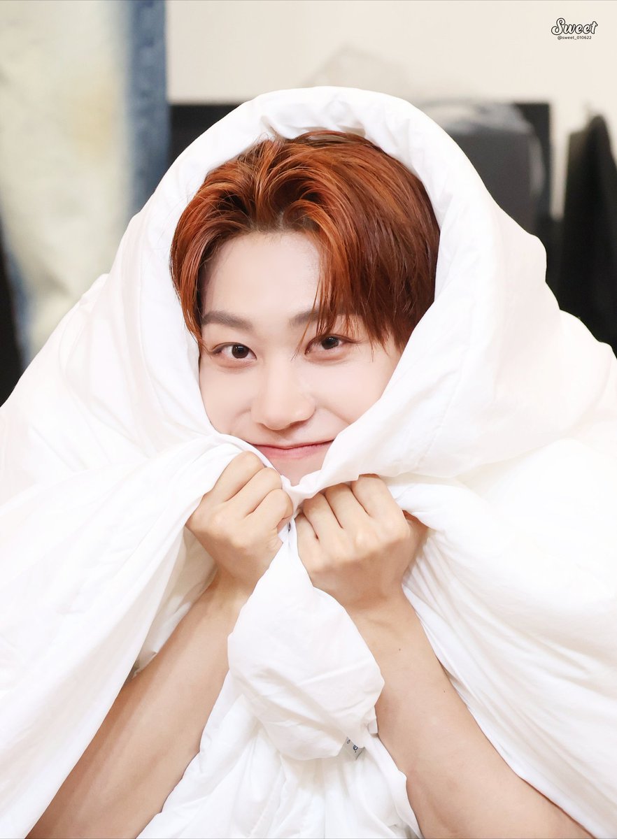 할리 tweet media