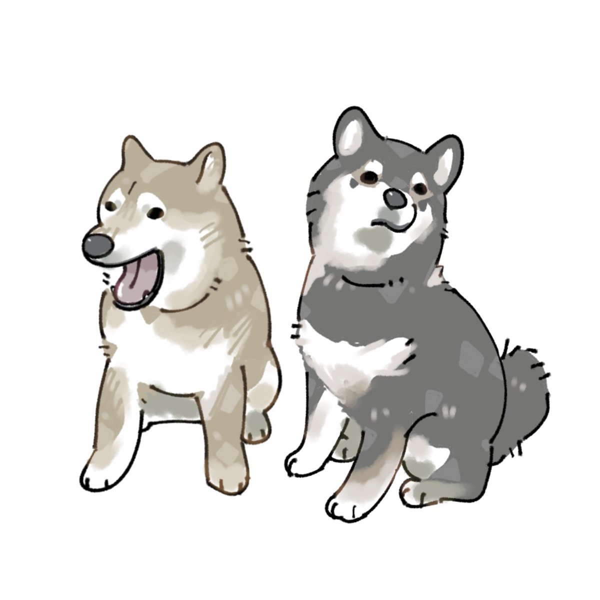 おこじょいぬ🐶 tweet media