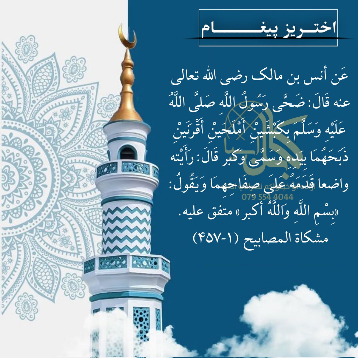 کابل ټکی اسیا 𝗞𝗮𝗯𝘂𝗹.𝗔𝘀𝗶𝗮 tweet media