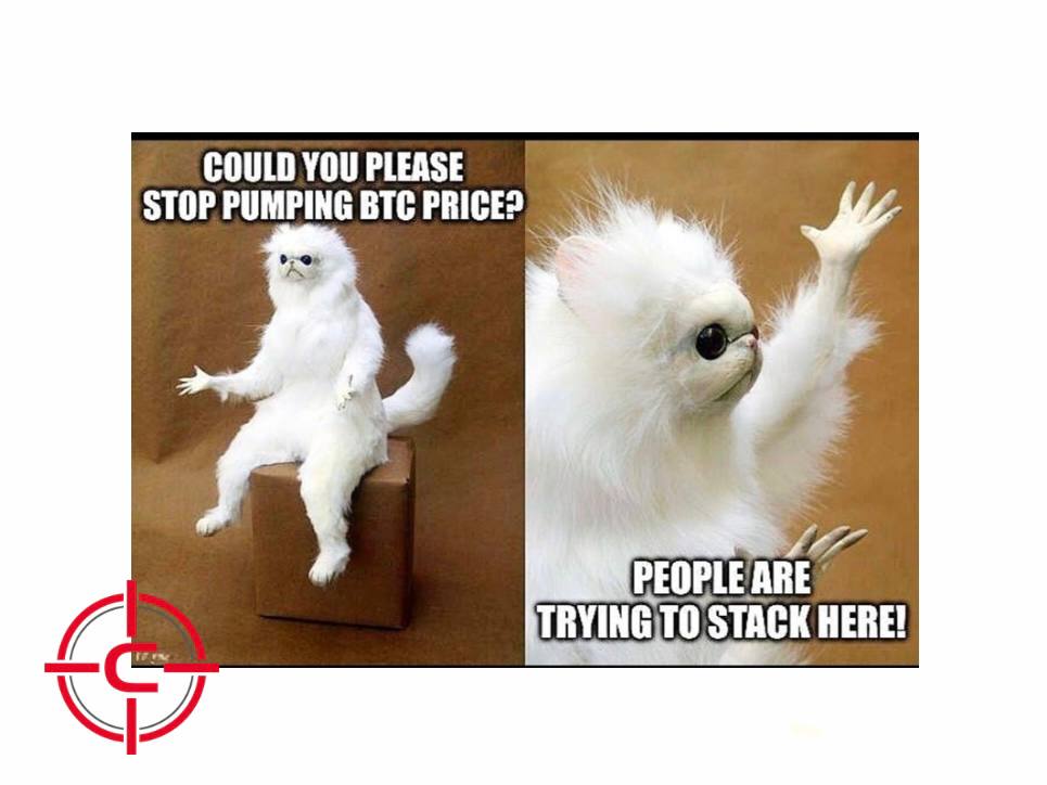 coinsniper_net's tweet photo. #coinsniper #crypto #meme #bitcoin #ethereum #bnb #solana #memecoins https://t.co/zkRomPRry9