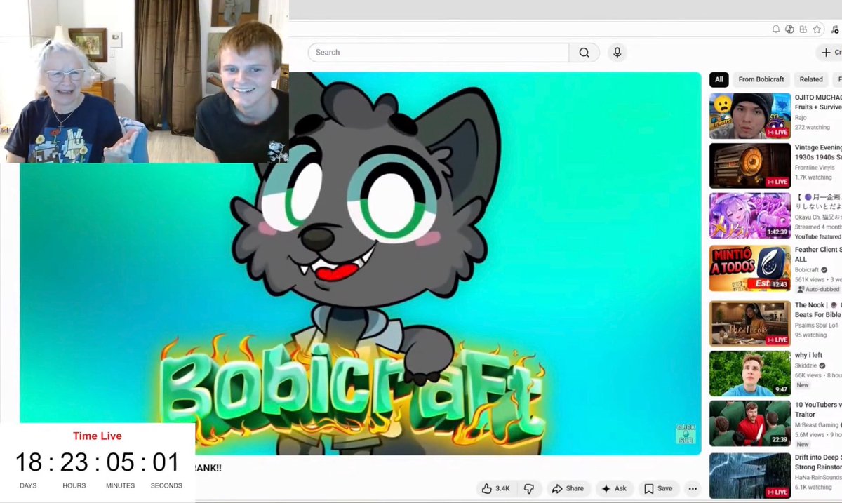 Bobicraft tweet media