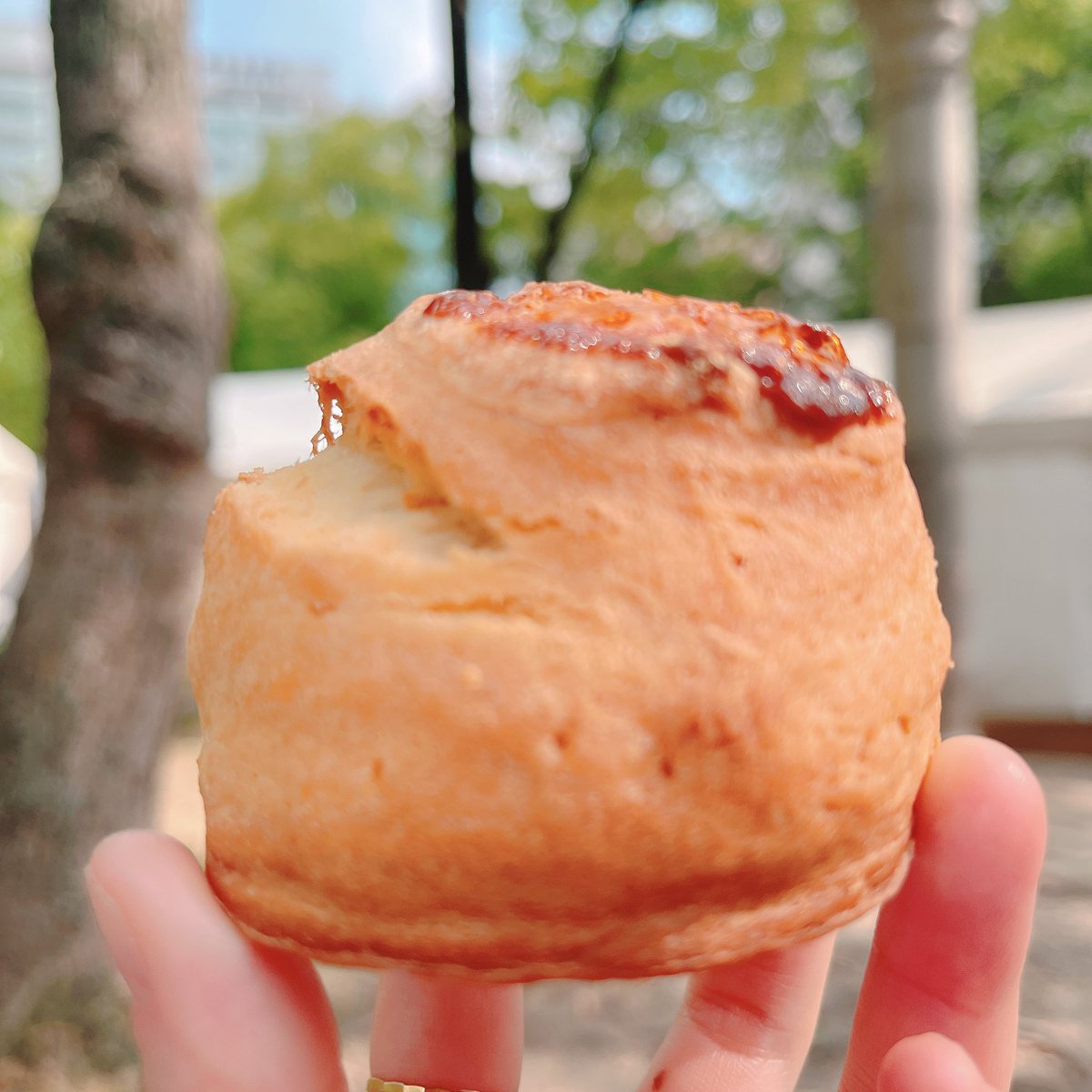 off_setsu's tweet photo. スコーン！スコーン！スコーン！✨ https://t.co/j3JpXlLRCG