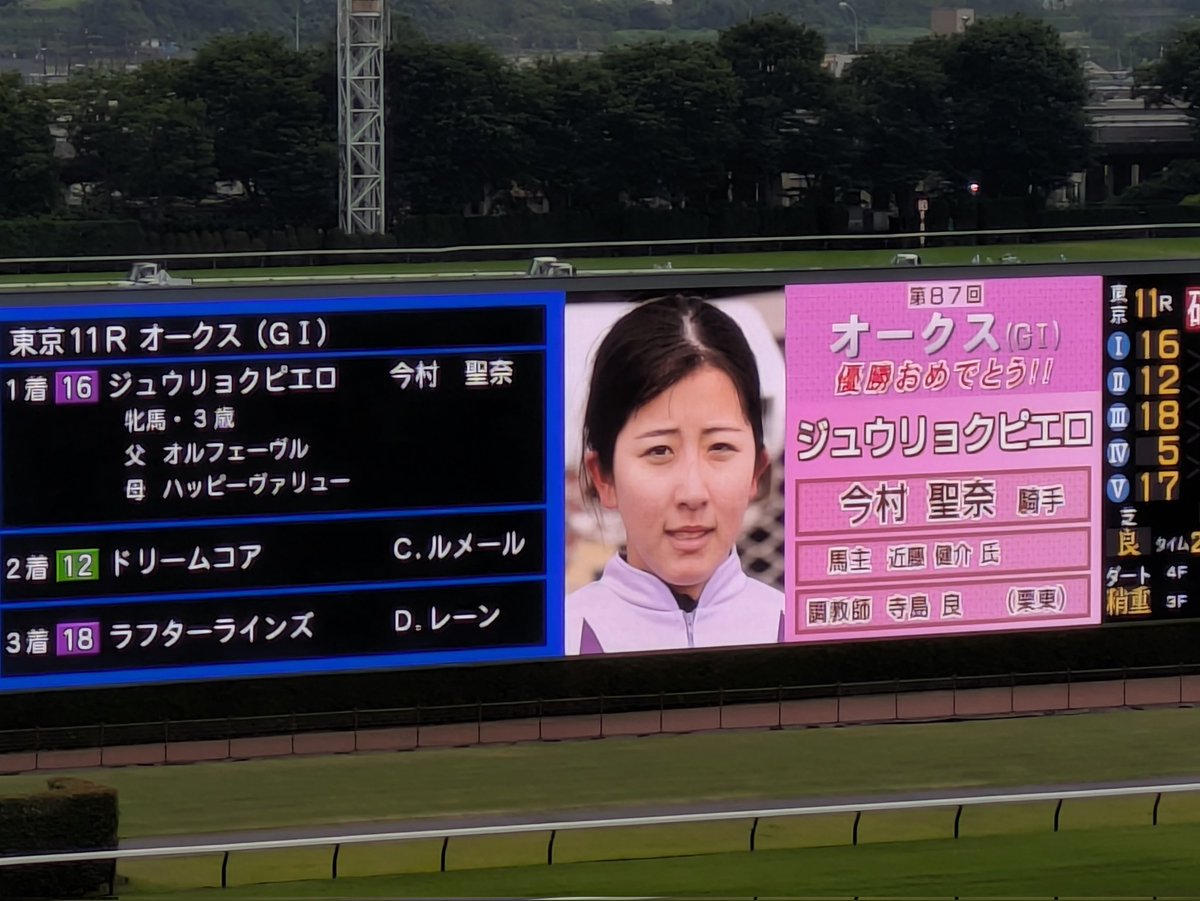 記念馬券の単勝しか当たらんかったが、スゴいレース見ちゃった。 歴史