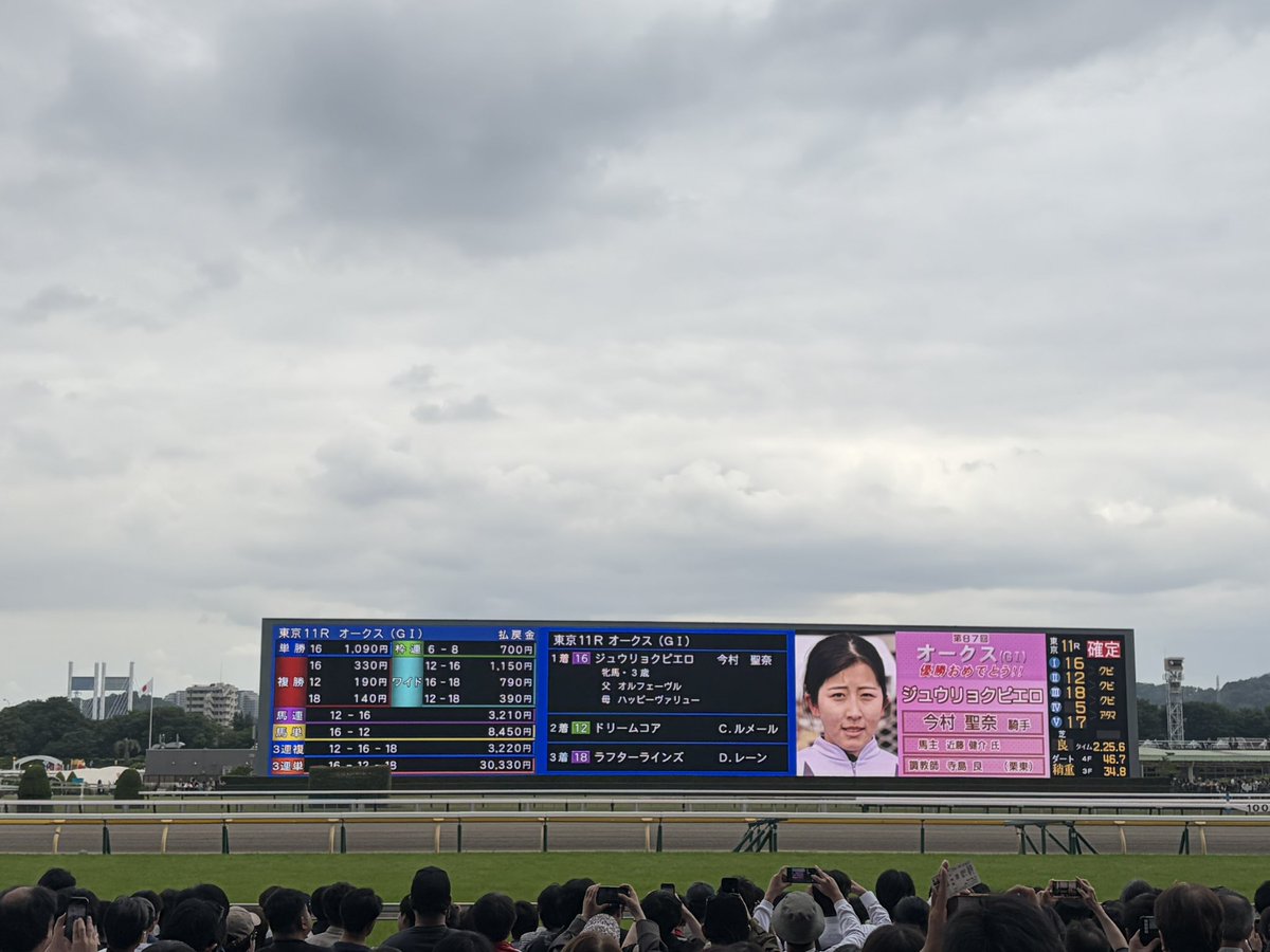 M1SaK1_0122's tweet photo. ここにきてクラシックに舞い戻った父オルフェーヴルの文字 https://t.co/thkLXaVAnk