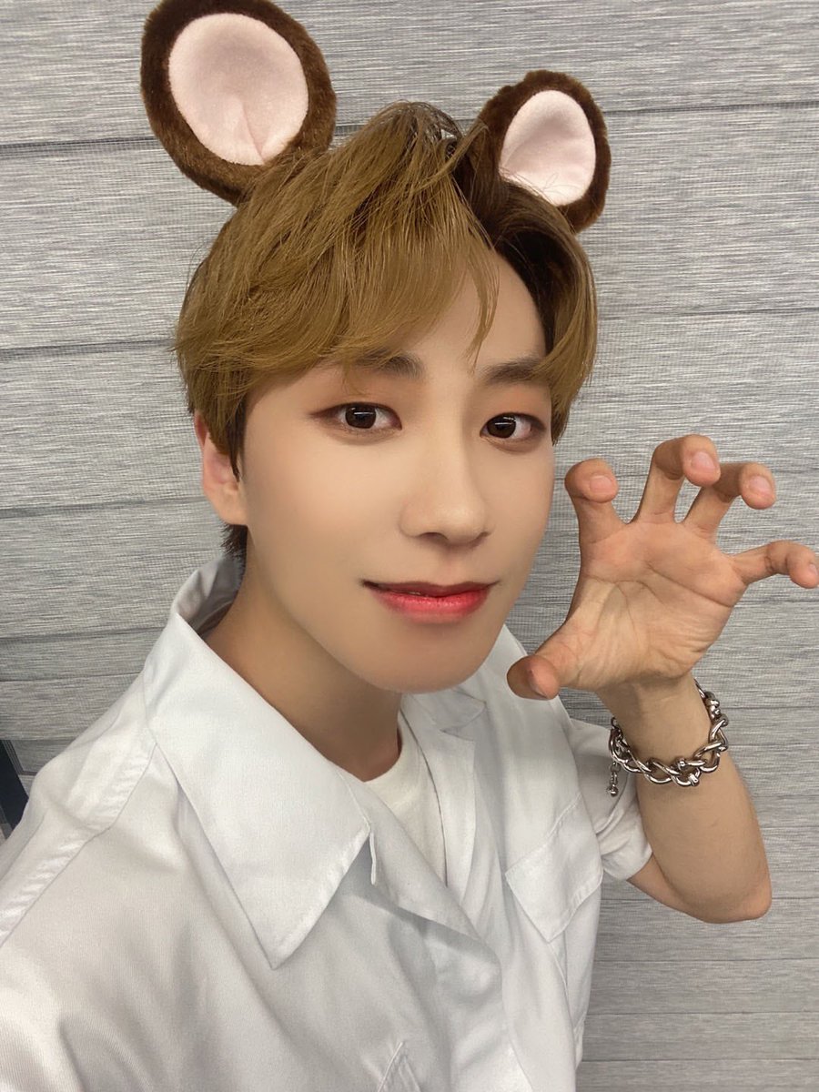 할리 tweet media