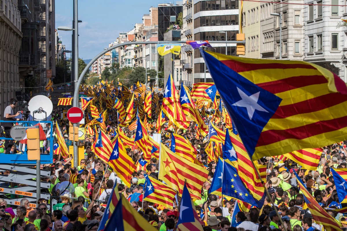Associació DNI.cat tweet media