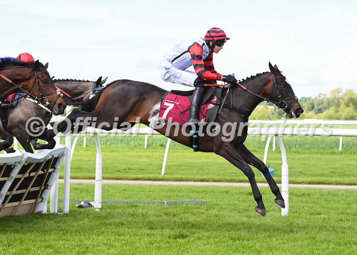 offphoto's tweet photo. LADIES  DAY &amp; @jack123andrews  win at Bangor-on-Dee for trainer @TomEllisRacing and owners @EventmastersUK Check out all the official photographs at https://t.co/pYZC7Y0QWj @coolmorestud https://t.co/RSSUxCnfnW
