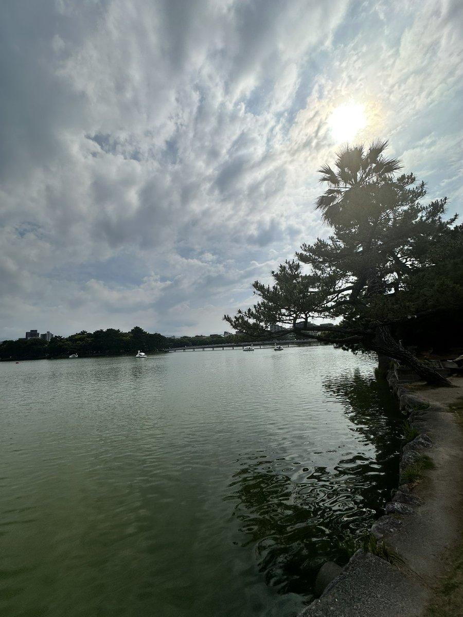 BORDERLESS11's tweet photo. 大濠公園をハゲテブ散歩〜( ´Д`)y━･〜 https://t.co/wreIbGGPPs