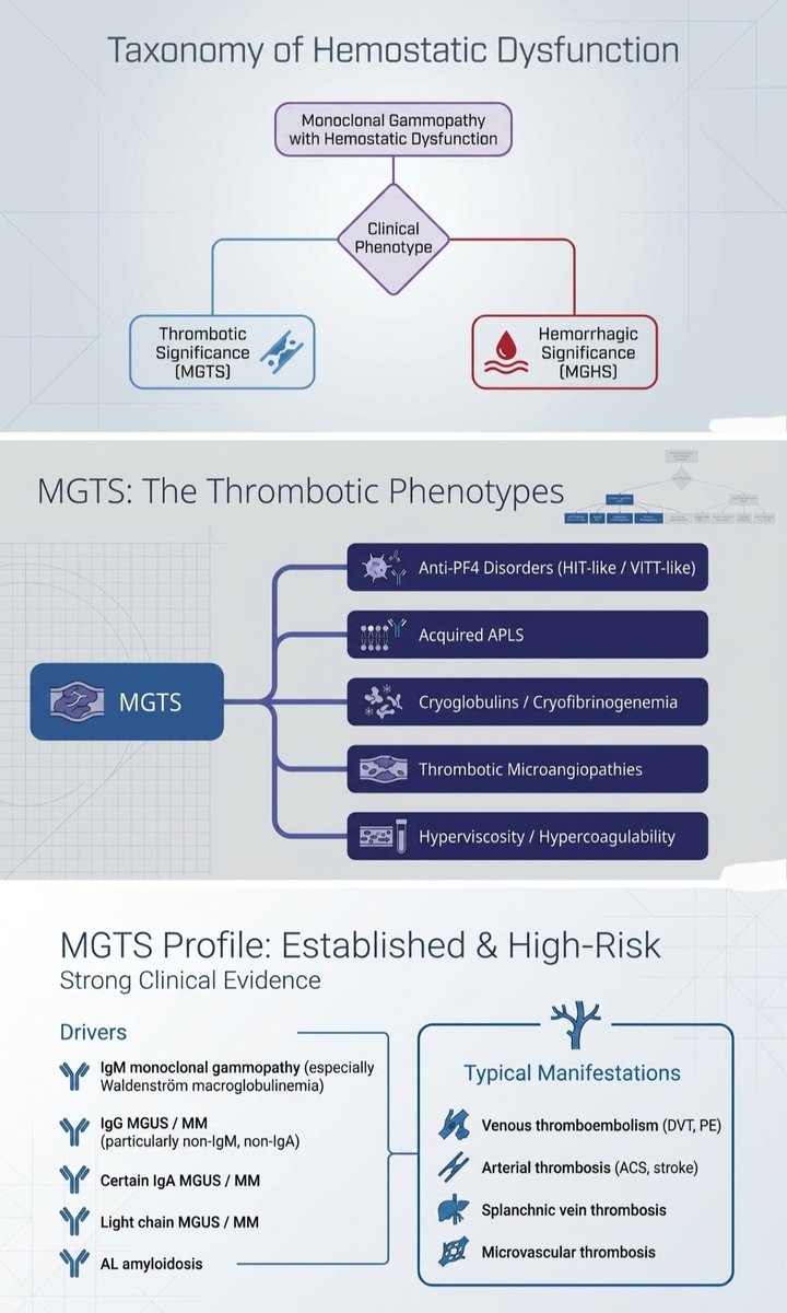 SayedSRahman1's tweet photo. Monoclonal Gammopathy with Hemostatic Dysfunction ( Thrombosis and Hemorrhage ) with underlying mechanism :
1. MG of Thrombotic Significance (MGTS )
2. MG of Hemorrhagic Significance (MGHS)
#MGTS
#MGHS https://t.co/2rISocDMtL