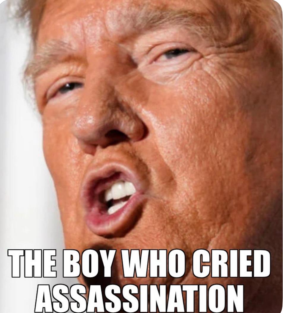Kathy Lette tweet media