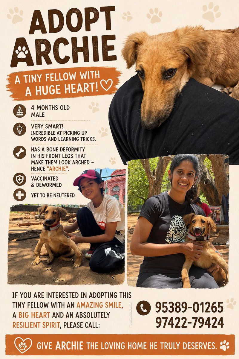 kovaisandhya's tweet photo. @SnooopSnoopy @BasuShyamali @thevirdas He’s currently being fostered at my home. Please share this poster if you can. https://t.co/FFI640ISD1