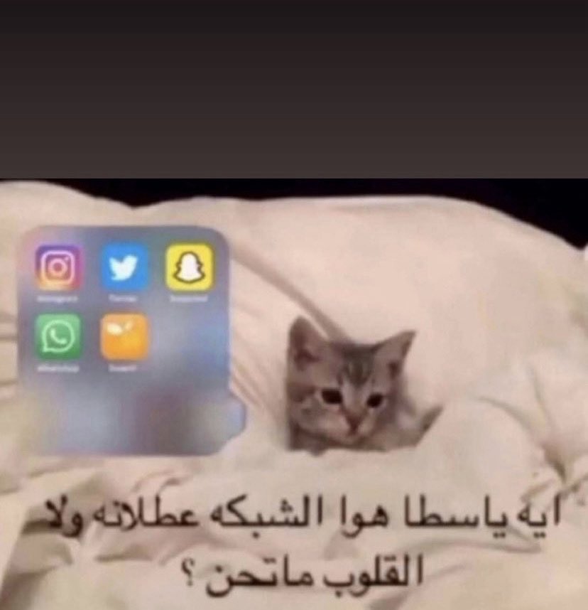 wo2ci's tweet photo. اتوقع الشبكه https://t.co/ezEYaewAZl