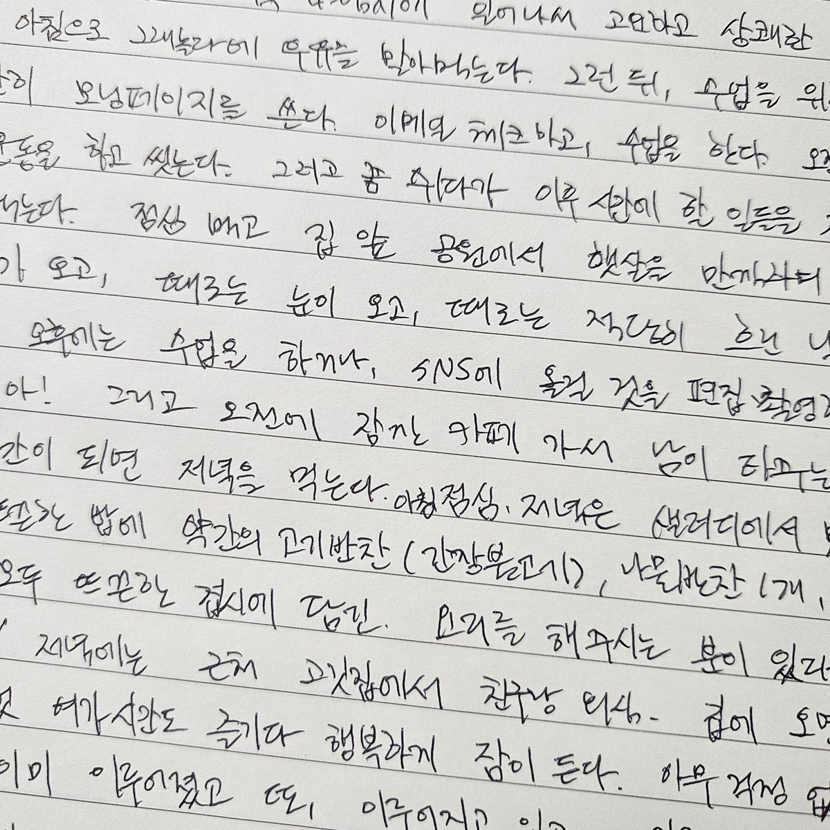 멍생역전 tweet media