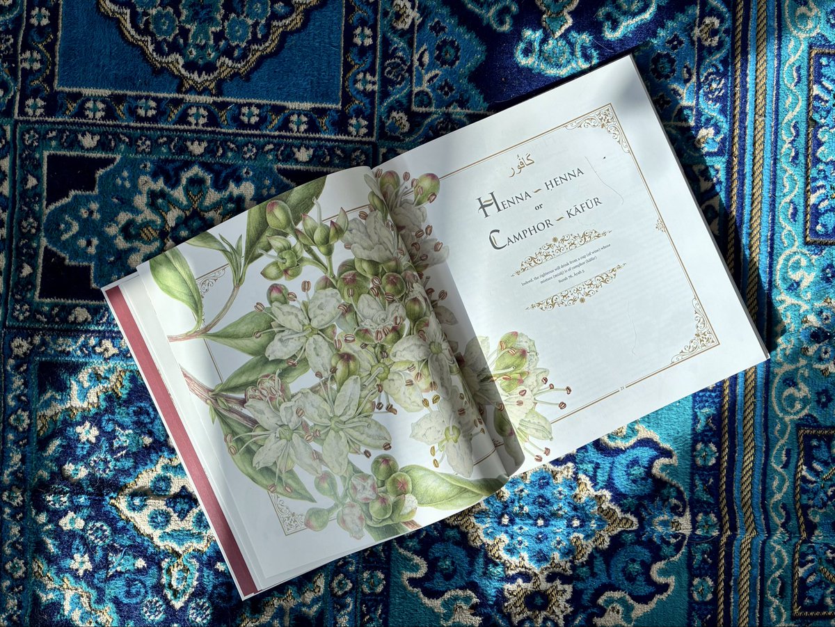 svbrwnd's tweet photo. Plants of the Qur’an 🌾🌼 https://t.co/qUlbug17Go