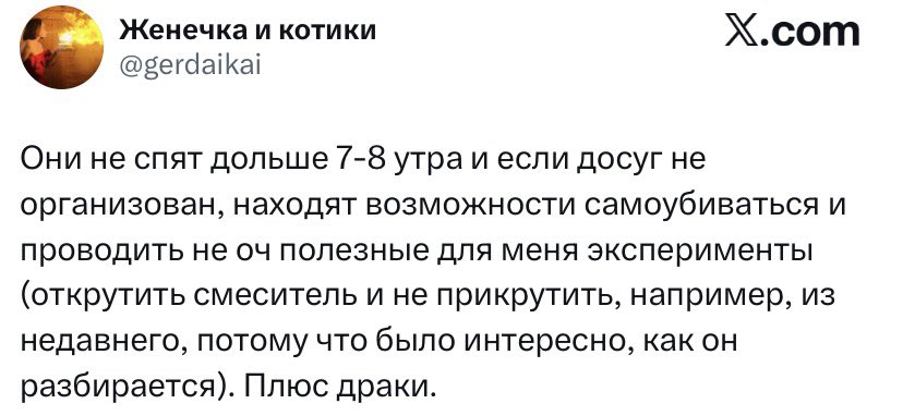Эвклид🐰ྀི🐈⬛ིྀ 🧡⁷ tweet media
