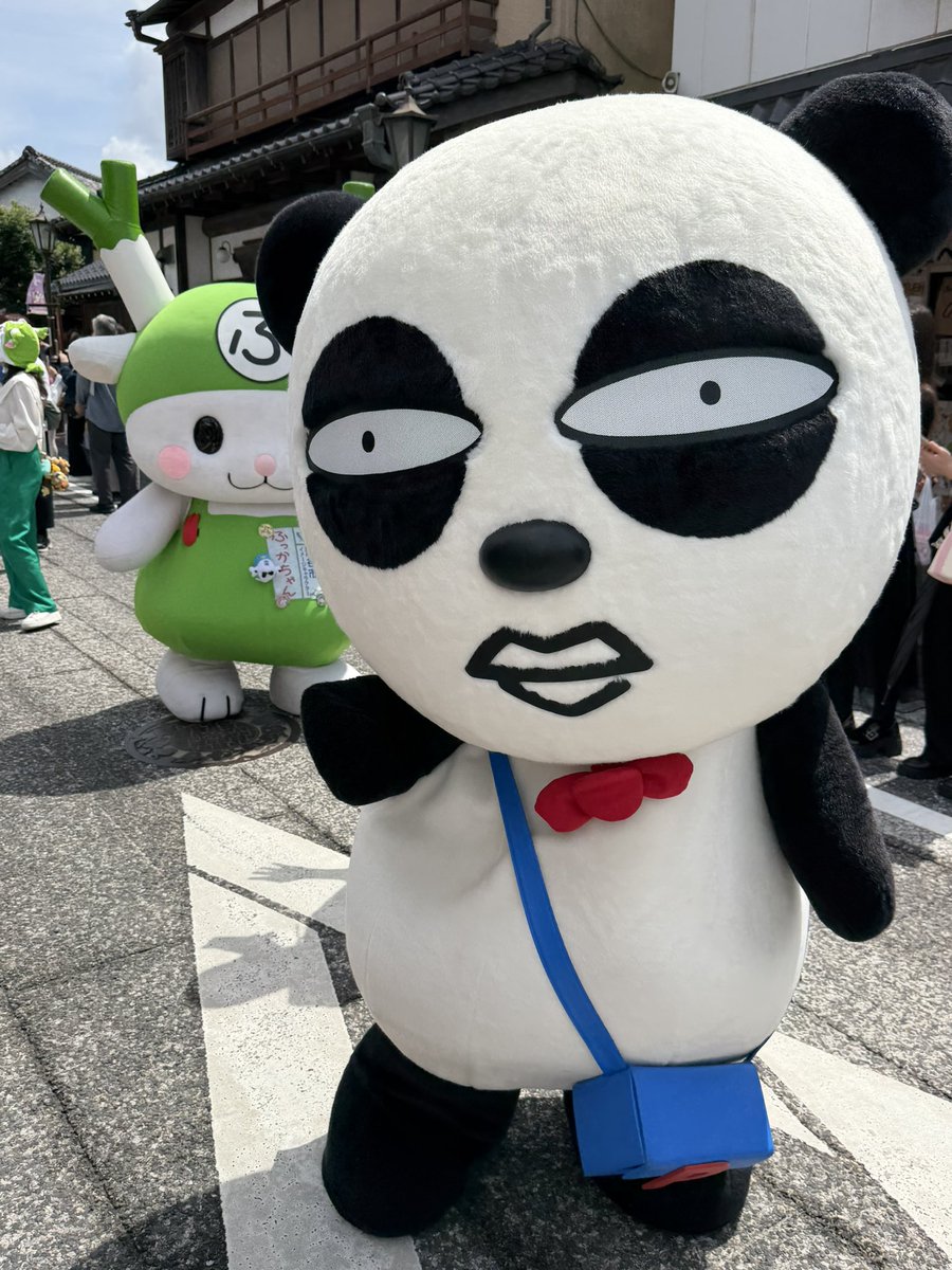 野澤智行 tweet media