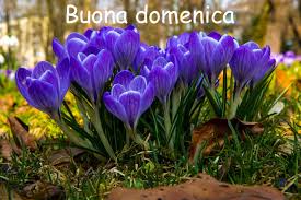 Federica Bortolazzi tweet media