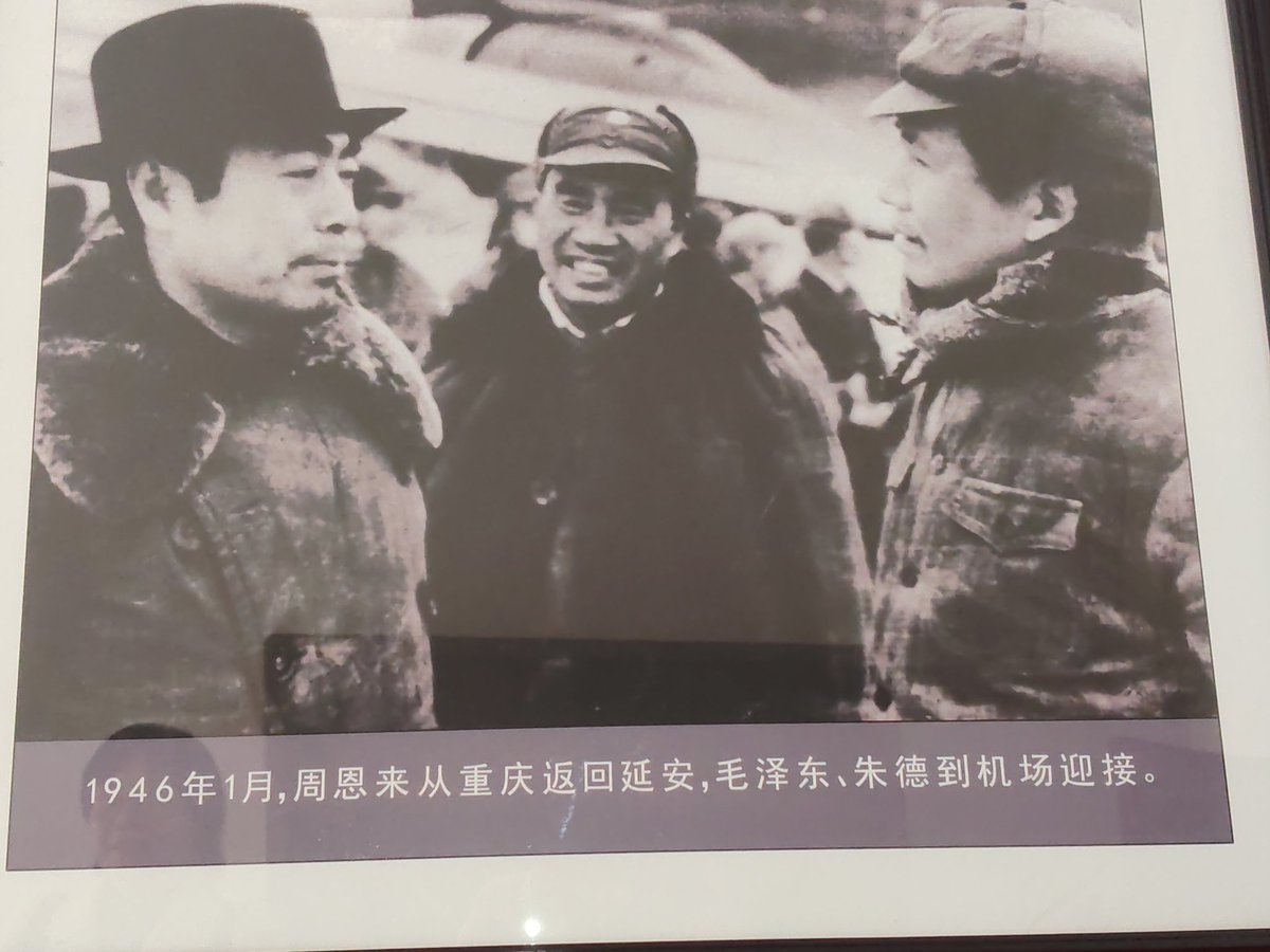 zsddnj's tweet photo. 大概就是一猫两鸟一猪吧 https://t.co/lShvTR0pSB