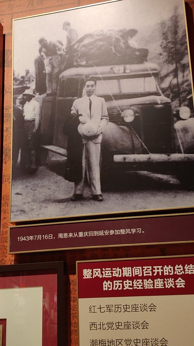 zsddnj's tweet photo. 大概就是一猫两鸟一猪吧 https://t.co/lShvTR0pSB