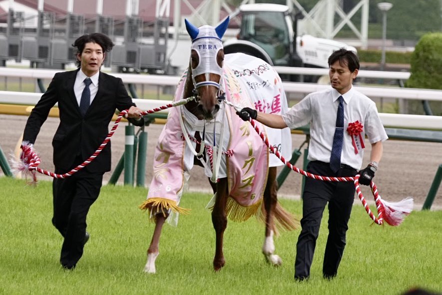 中野競馬場🍦🇯🇵 tweet media