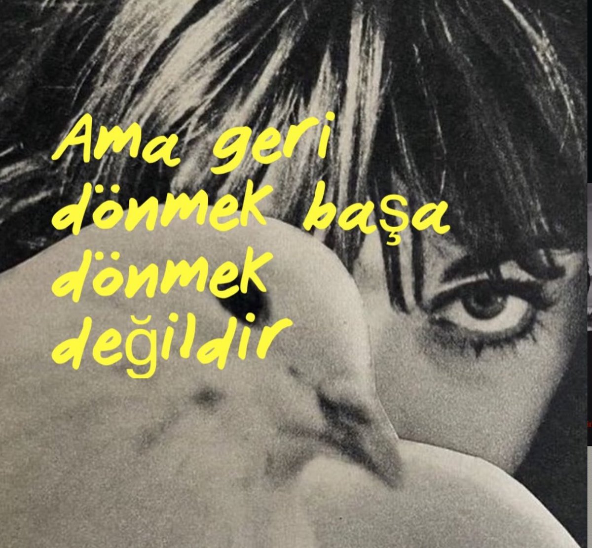 Kardelen Atesci tweet media