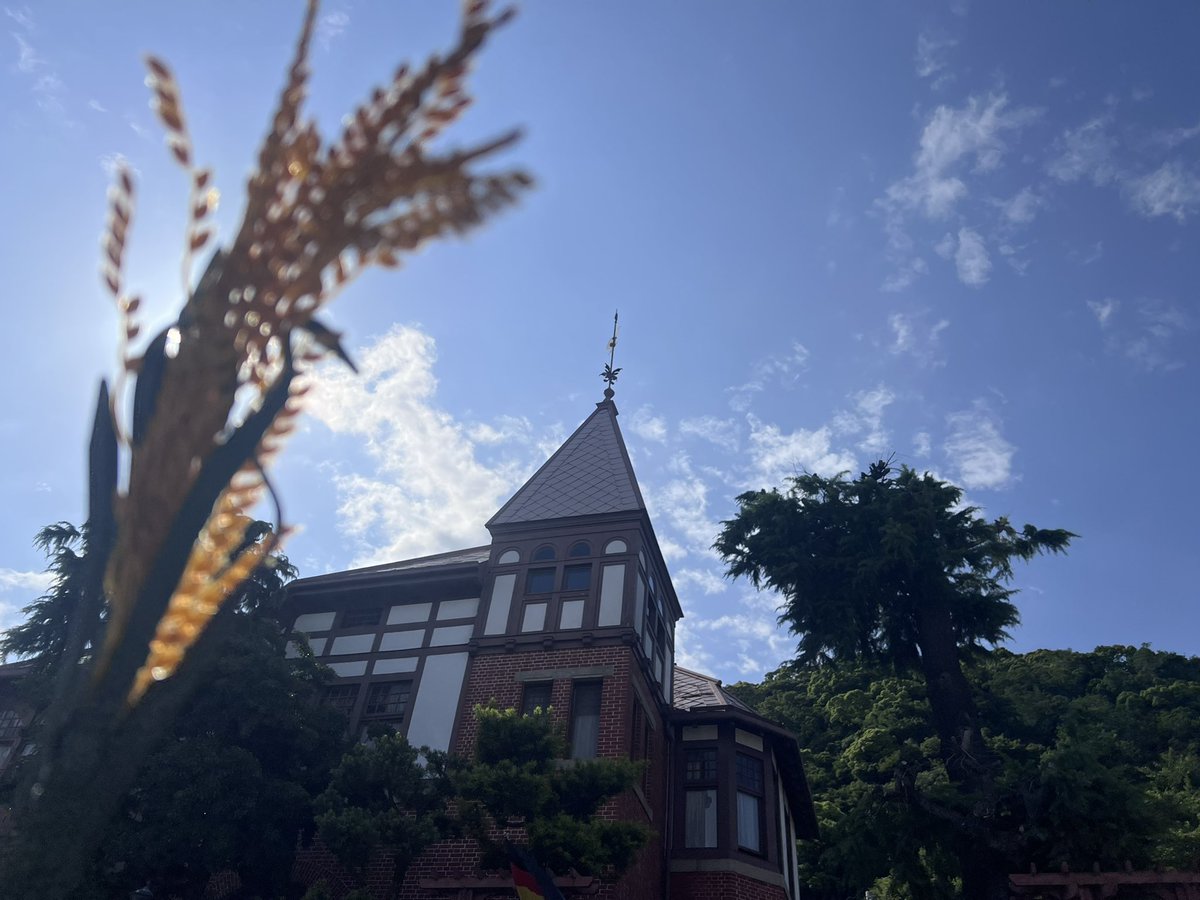 fukudahi's tweet photo. 今日は京都に住んでいる甥っ子と神戸で遊んでいます！
このあとはいっしょにレキシVS オシャレキシを観ます🌾
２０歳の甥っ子が、果たしてこのオシャレっぷりについていけるか、やや心配…！
いやきっと楽しんでくれるはず！！
#レキシ #オシャレキシ https://t.co/I8cYhUW7xi