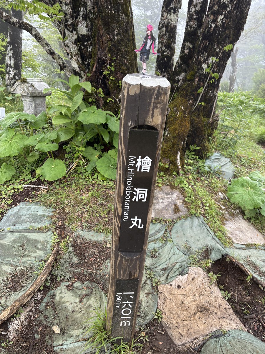 たくま tweet media