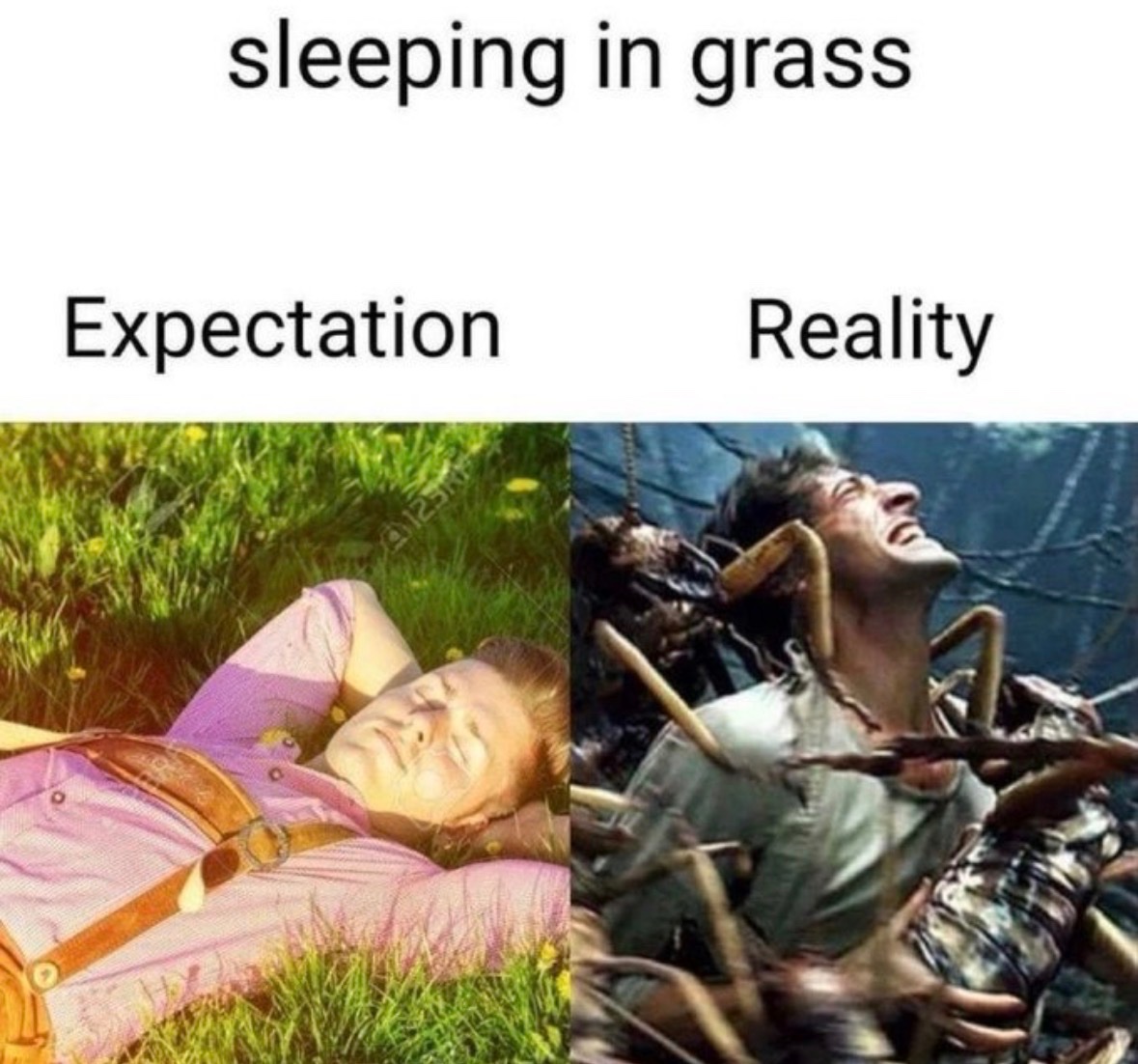 Respectful Memes tweet media