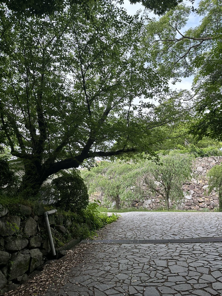 BORDERLESS11's tweet photo. 福岡城の跡地なんて初めて来たかもしれんな〜( ´Д`)y━･〜 https://t.co/0xN4dRA2aY