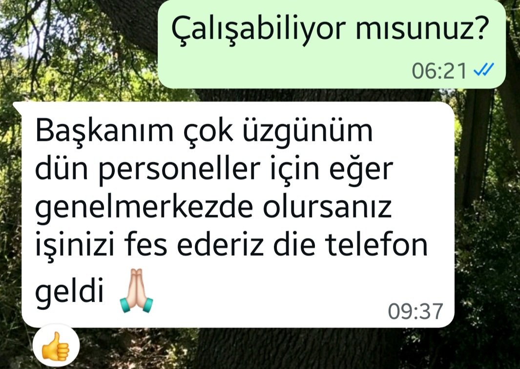 Güldem Atabay tweet media