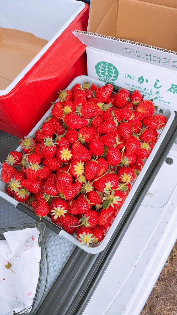 さくたろ tweet media