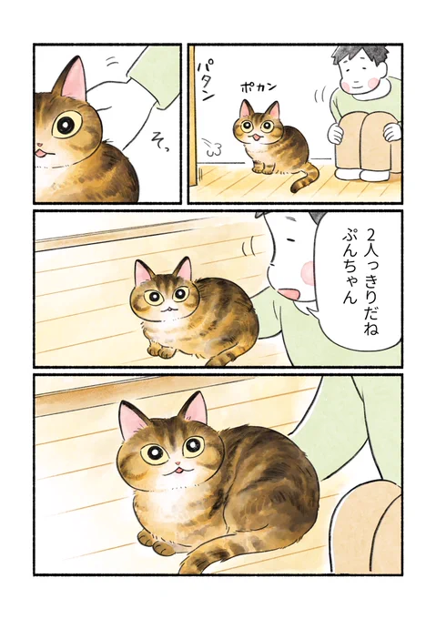 (2/2) 