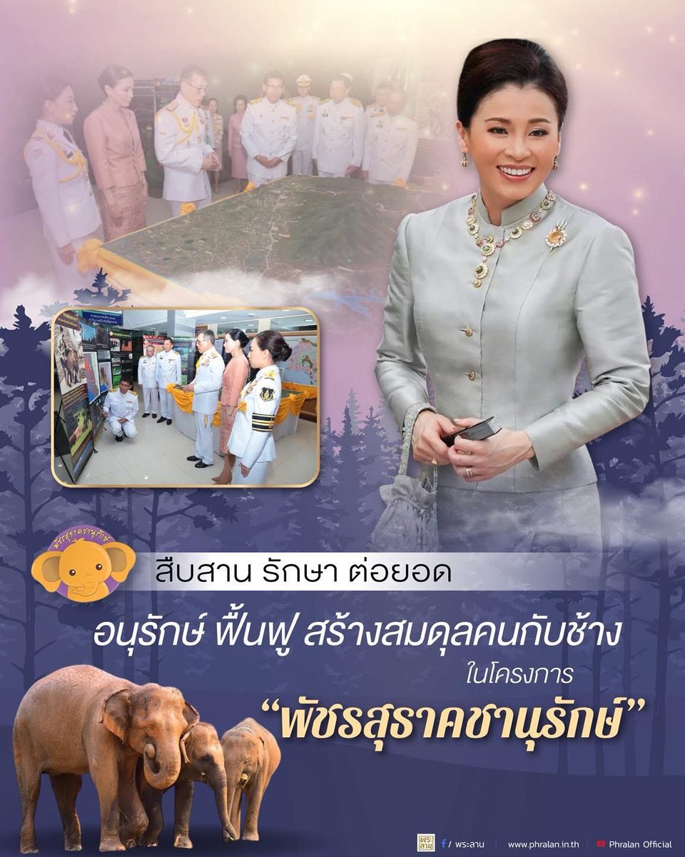 PingAn เอ็นดู น้องอ้วนซนๆ tweet media