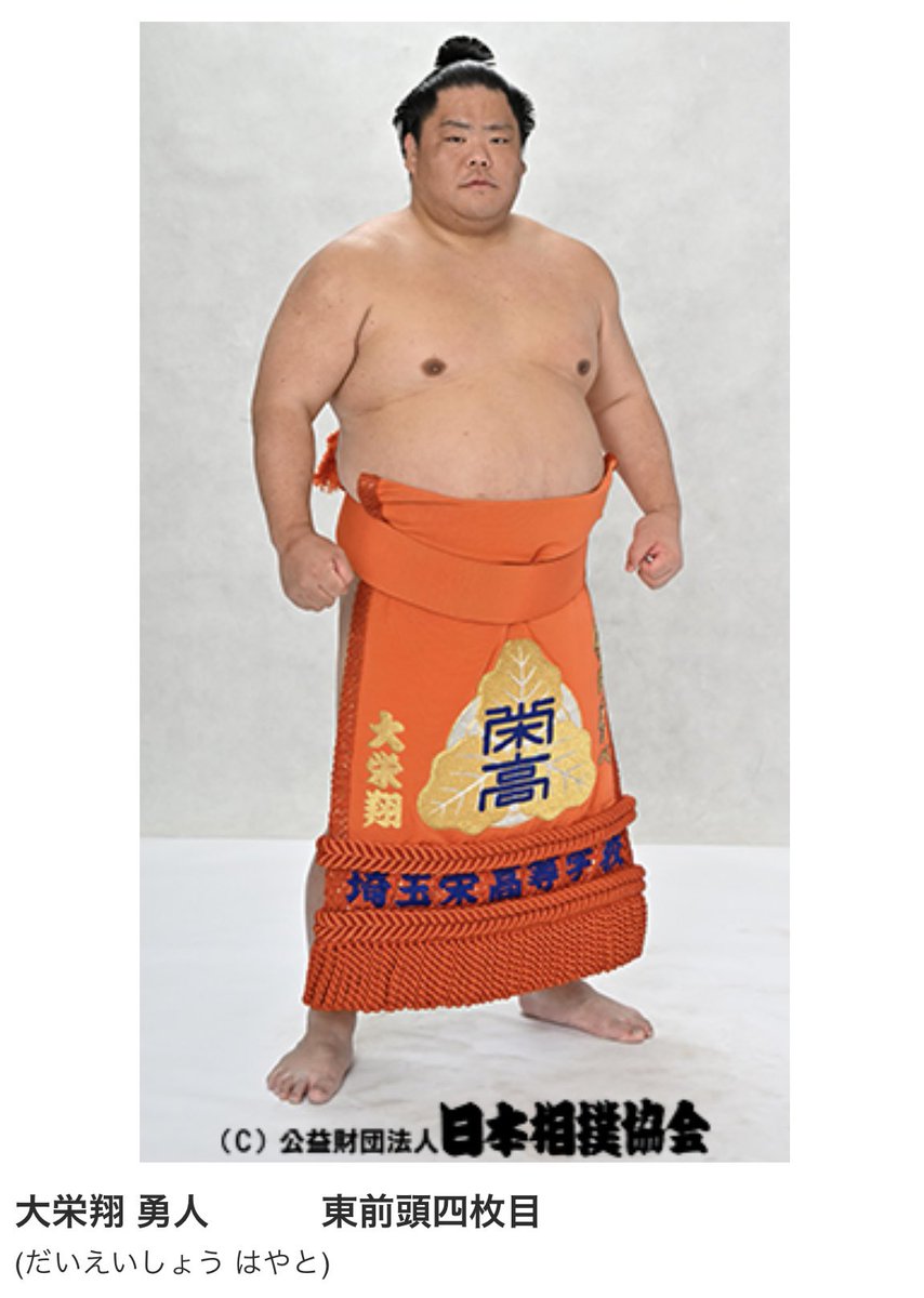 メル55507です。大栄翔 2026年最新】Yahoo!オークション -大栄翔の中古品・新品・未使用品一覧 その他