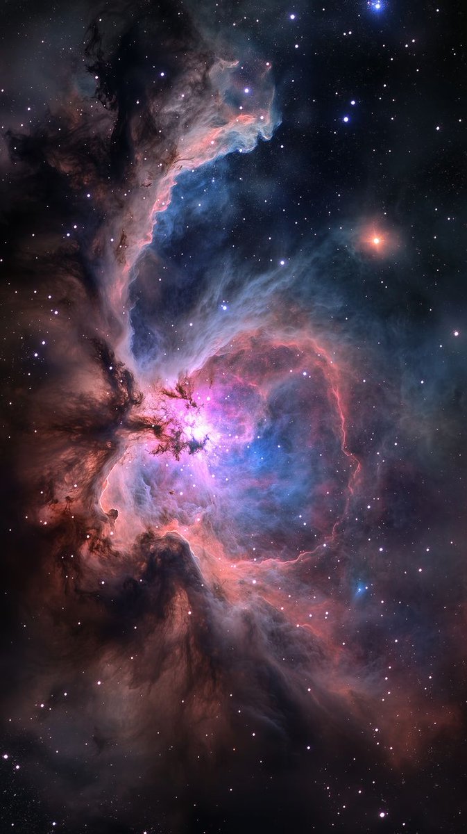 CelestialMind tweet media