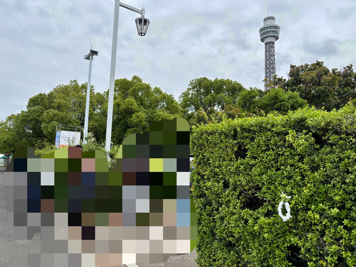 g0_kb1's tweet photo. 【落とし物】
山下公園にてチョーカー(ブレスレット)の落とし物がありました。未来のバラ園　氷川丸の垣根にかけてありました。
ロリータ　落とし物　横浜　船　山下公園　薔薇園 https://t.co/nwqGVcndpG