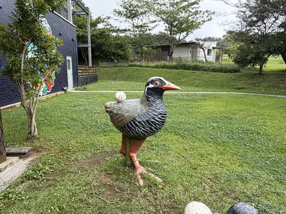 wanyandao's tweet photo. 安田くいなふれあい公園にて。
ヤンバルクイナのクー太が目の前に来てくれたのに、スマホを車内に忘れるという痛恨のミス😭
慌てて戻った時には隅っこへ…。写真は撮れなかったけど、しっかり目に焼き付けました。
まさかの「苦味が美味い」コーヒーにも出会えて最高。リピ確定です☕️
#沖縄 #やんばる https://t.co/mvQK3RPRQW