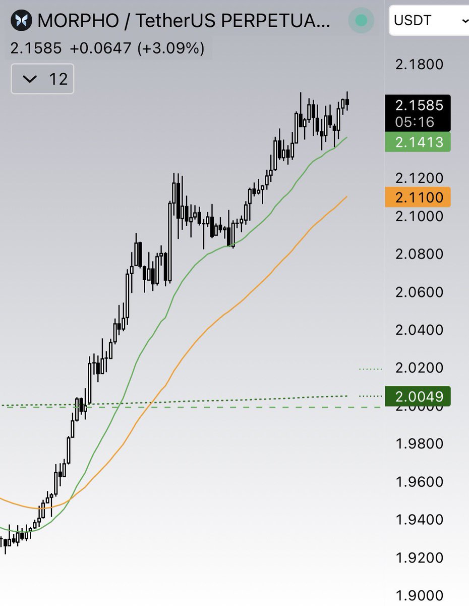 Dead Cat Bounce tweet media