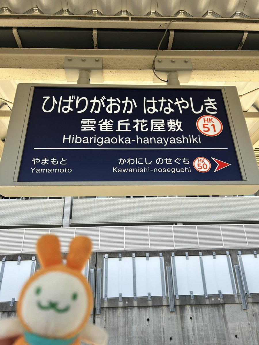 ピヨ山ピヨ彦 tweet media