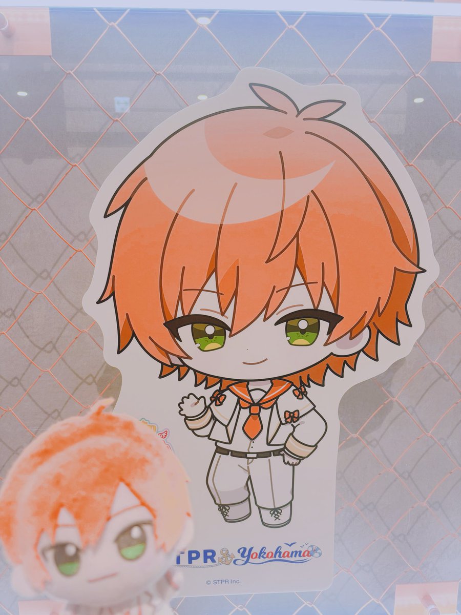 まめちゃ ぺんぺん&ふーかわいい認めろ tweet media