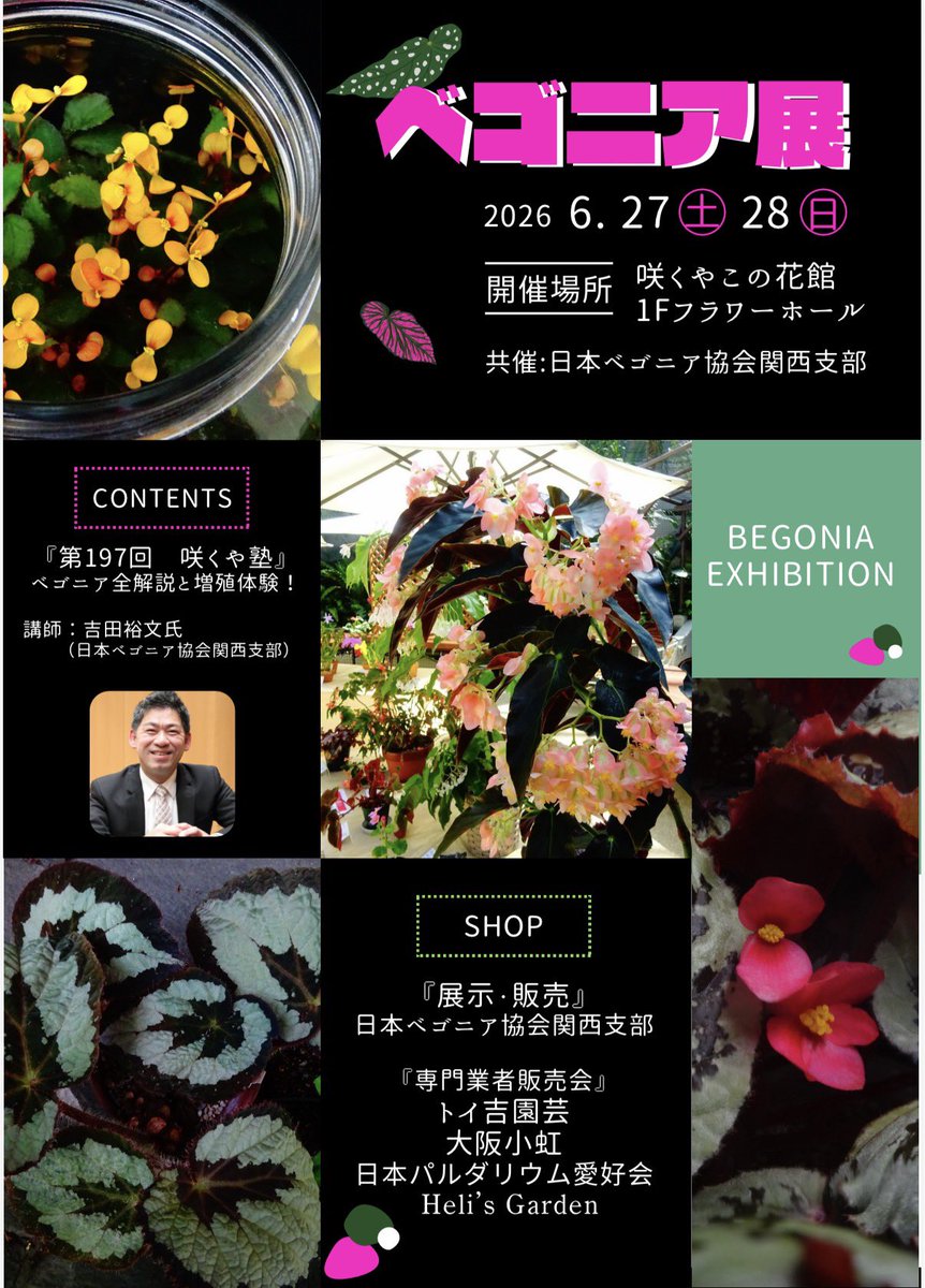 トイ吉園芸@6/27,28 ベゴニア展in咲くやこの花館 (@toikichi_02