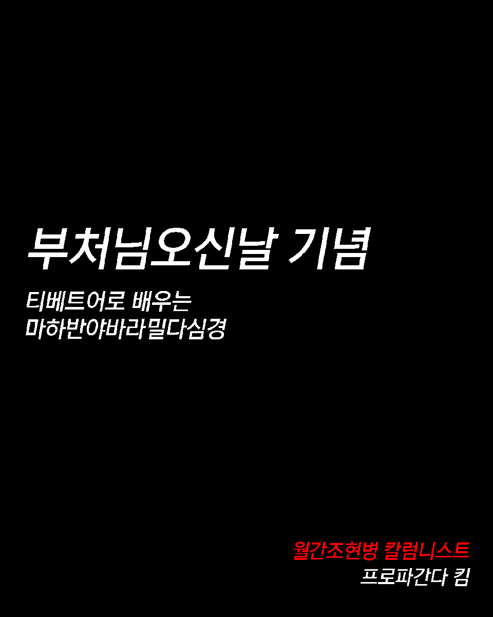 프로파간다 킴 tweet media