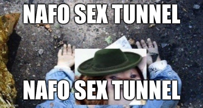 DHBRepositoryFella tweet media