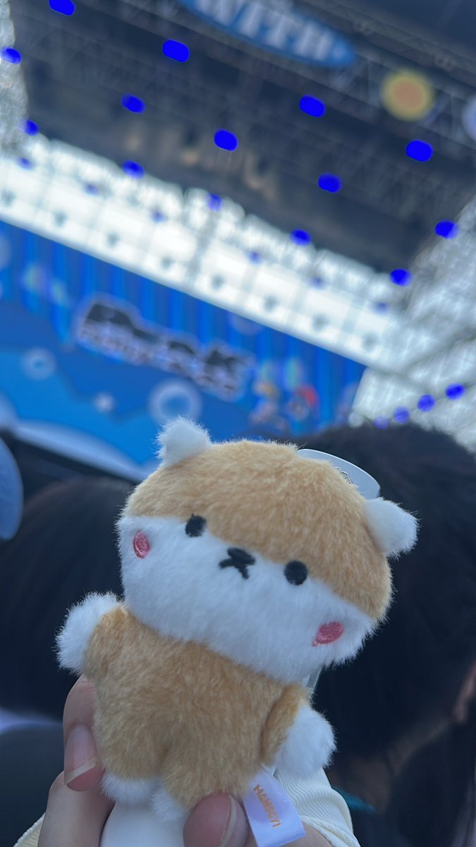 누여 tweet media