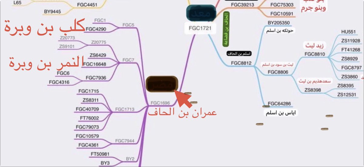 مشروع BY8 tweet media