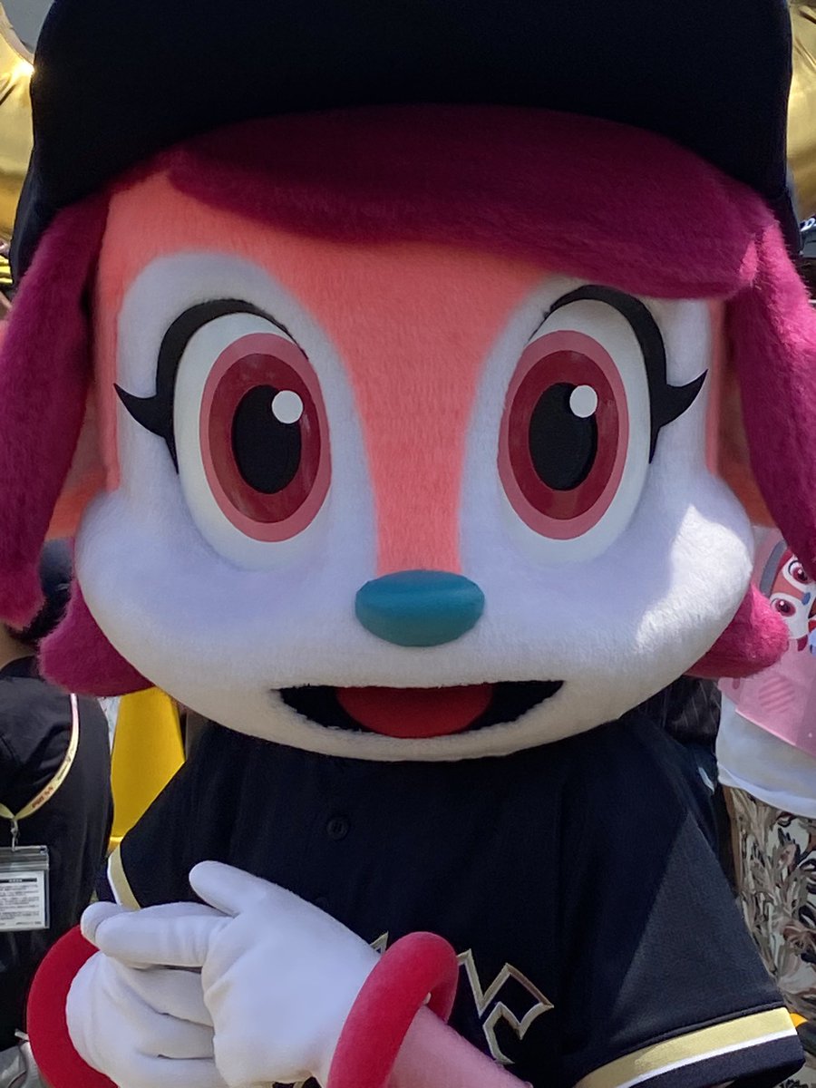 ブル tweet media