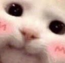 Ann ✶ Open Comms on VGen (૭ 。•̀ ᵕ •́。 )૭ ⊹ ࣪ ˖ tweet media