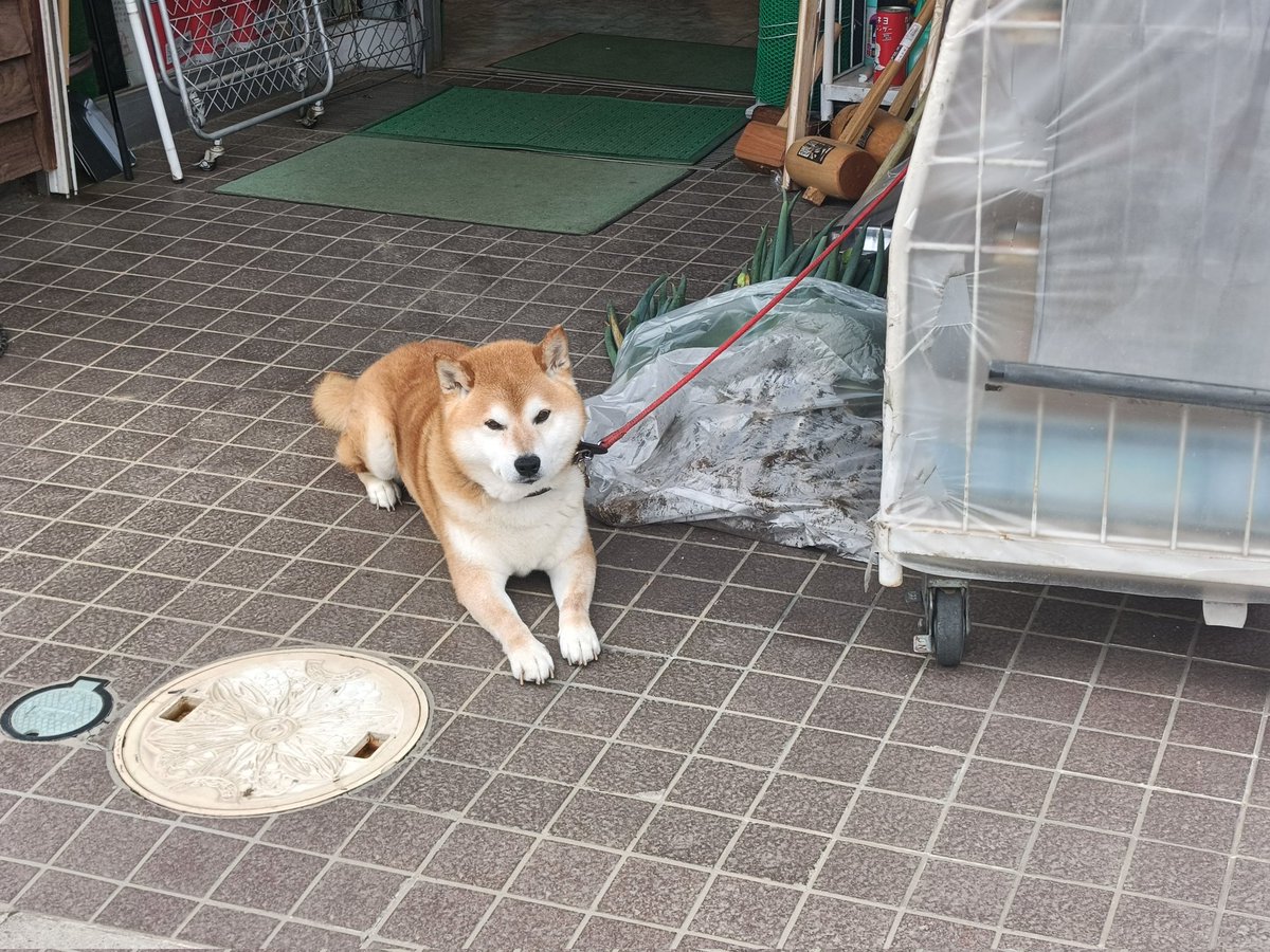 ReonaKitamura's tweet photo. https://t.co/lICP0DHnfN
