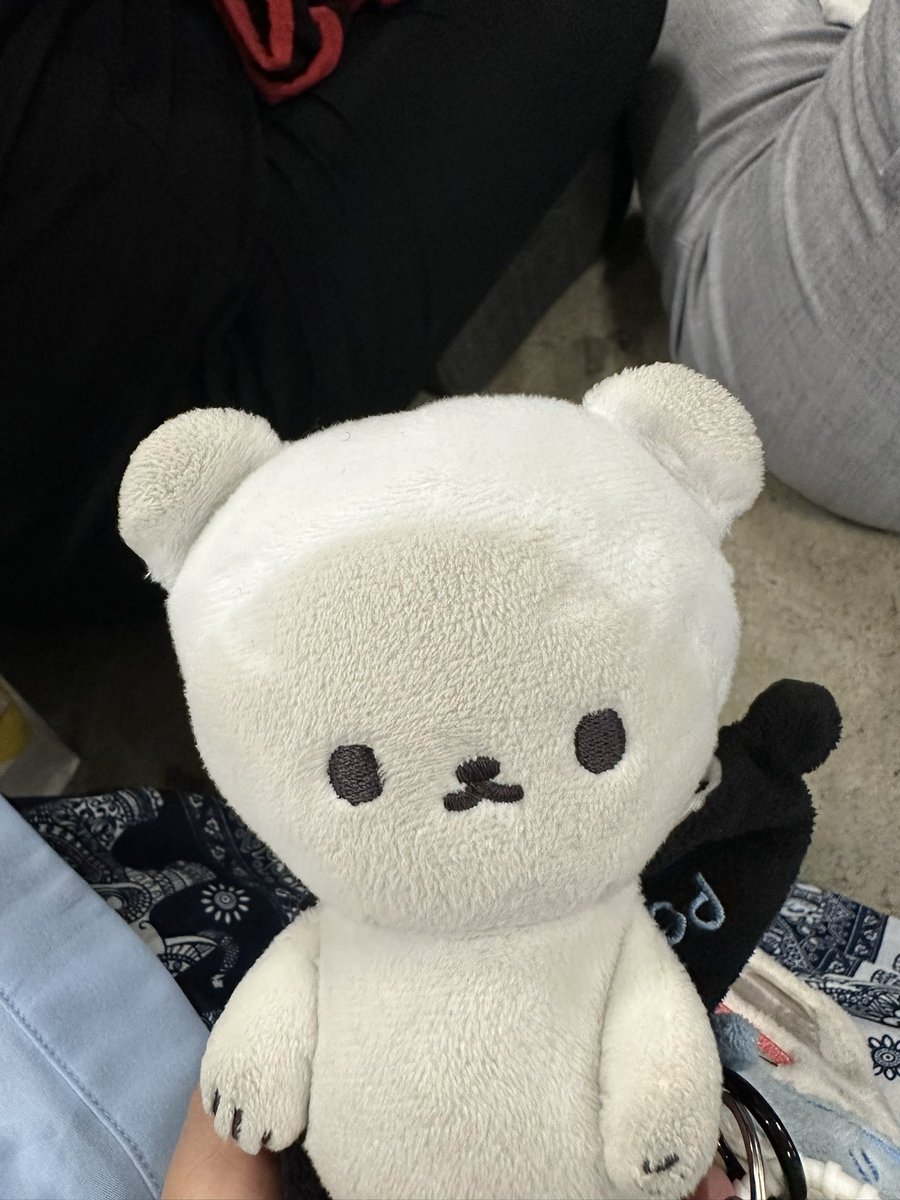 Cynthia在晒太阳 tweet media