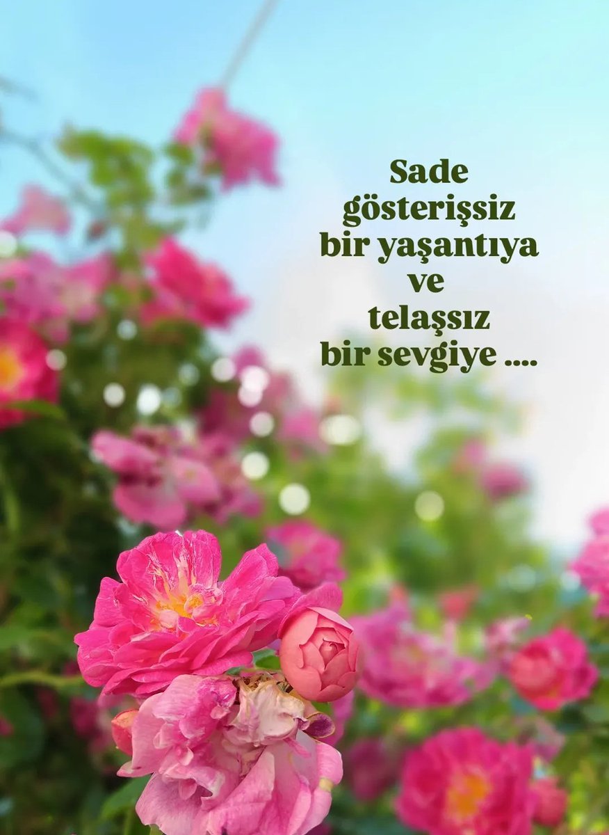 mahferde's tweet photo. https://t.co/JOxYbyvTXN